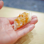 初音鮨 - 鹿児島県産のアオリイカ（もう名残）とバチコをあわせた握り