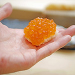 初音鮨 - 新いくらの握り