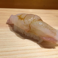 鮨 なかがわ - アズキハタ