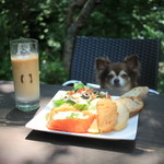 ル・フィヤージュ - ランチプレート　サーモンとホタテのタルタル