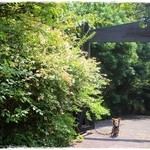 ル・フィヤージュ - 