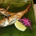 二条有恒 - はたはた