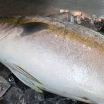 海鮮料理 海 - 肉厚な鯖