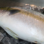オーガニックレストラン 海 - 肉厚な鯖