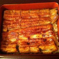 つきじ宮川本廛 - 鰻重 ニです、イ•ロ•ハ•ニの順に鰻が大きくなり、値段が上がります。