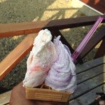 Gelateria Rimo - チーズ＆ブルーベリーとイチゴのナニカ420円