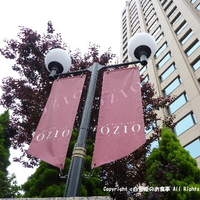 RISTORANTE OZIO - 
