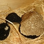 ドメイヌ ドゥ ミクニ - 平成２６年８月３日　マルケ産サマートリュフ