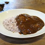 風遊斎 - アブナンカレーライスのアップ