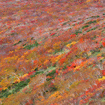 ハイルザーム栗駒 - 栗駒山の紅葉です