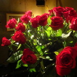 Danae - 薔薇の花