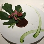 コシモ・プリュス - 鴨