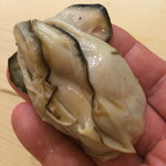 初音鮨 - 初物の大船渡の真牡蠣