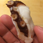 初音鮨 - 佐島の地蛸　