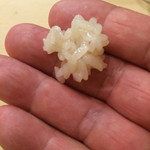 初音鮨 - シャリ