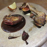 ル スプートニク - 茨城のピジョンの胸肉と腿肉のロースト、玉ねぎとそのピュレ、イチジクのキャラメリゼ、鳩の血と赤ワインとチョコレートのソース1