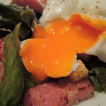 bistro D - ポーチドエッグの黄身をくずして
      サラダに絡ませていただくと最高です！！
      