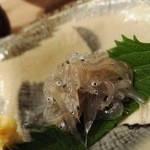 大阪モノラル - 2015年5月訪問時撮影