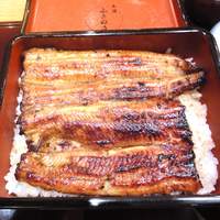 赤坂ふきぬき - 
