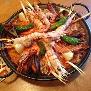 ベジョータコンチャ_2