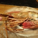 大どころ - ボタンエビ・・コレも高級食材ですが、大きい。札幌で頂いた品とは比較にならない大きさです
      嬉しくてすぐに頂いてしまう、卵のお写真撮り忘れましたけれど、たっぷり入っています
      新鮮ですので「味噌」も美味しい