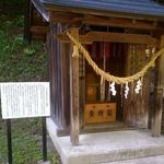 食事処やはぎ - おぉ！これですか