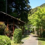 食事処やはぎ - 先には神社がありますね、行ってみましょう
