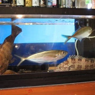 市場から仕入れる新鮮な魚介を店内で調理◆旬の美味しさを堪能
