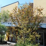 E’s cafe - 外観も凄くいい感じで何枚も撮ってしまった…