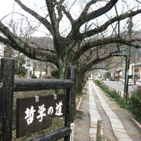 草喰 なかひがし - 哲学の道沿いにあります