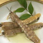 自由軒 - シャコ酢