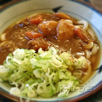 カネキ製麺 - カレーうどん