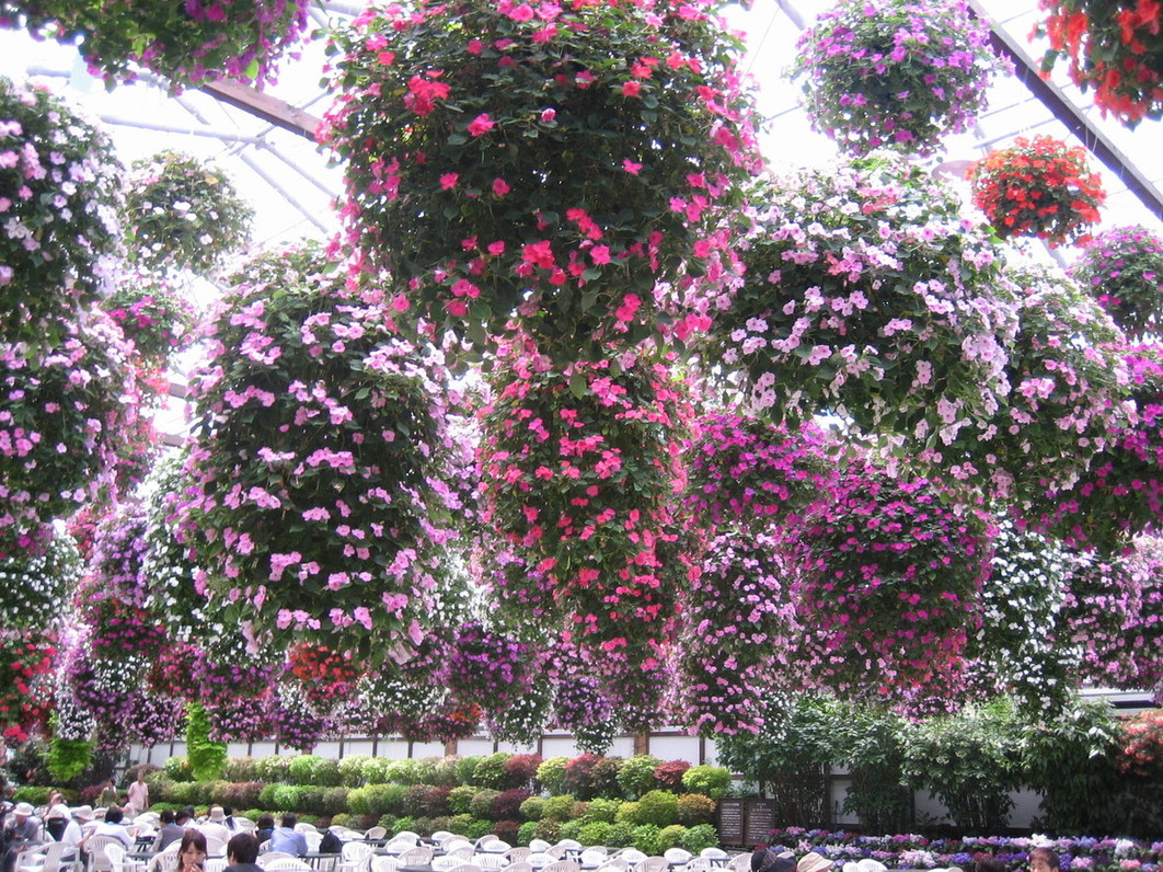 掛川花鳥園 name=