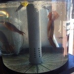 和食ダイニング天八 - 