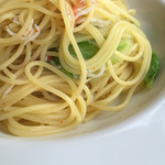 Girasole - Pranzo A・700円
                        “シラスとキャベツのスパゲッティーニ”