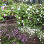 ヴィラデスト ガーデンファーム アンド ワイナリー - 