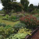 ヴィラデスト ガーデンファーム アンド ワイナリー - 