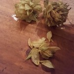 VERTERE Okutama Taproom - 201510奥多摩産ホップ