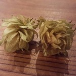 VERTERE Okutama Taproom - 201510奥多摩産ホップ