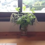 baimai - 【初来訪】窓際カウンターで１人心地よく