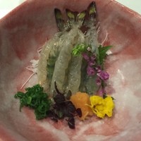 うぶか - 刺身：車海老