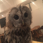 Cafe HOOTHOOT - 