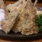 くろしお - 刺盛りの鯵の頭と骨を無料で唐揚げに