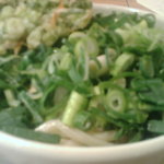 太常　ねぎうどん（大）＋九条ねぎのかきあげ