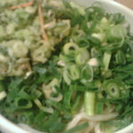 太常うどん - 太常　ねぎうどん（大）＋九条ねぎのかきあげ