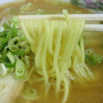 コロポックル - 中太ストレート麺
