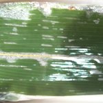 文の助茶屋 本店 - 笹葉に挟まれて