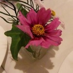 ル・メッサージュ - テーブルの可愛い花