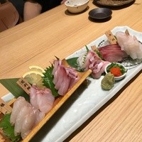 八吉 新宿西口店 - 本日のお造り　6品盛り