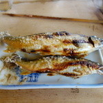 杉ケ瀬ヤナ - 特大（１８００円）と中（１０００円）２０１５年１０月